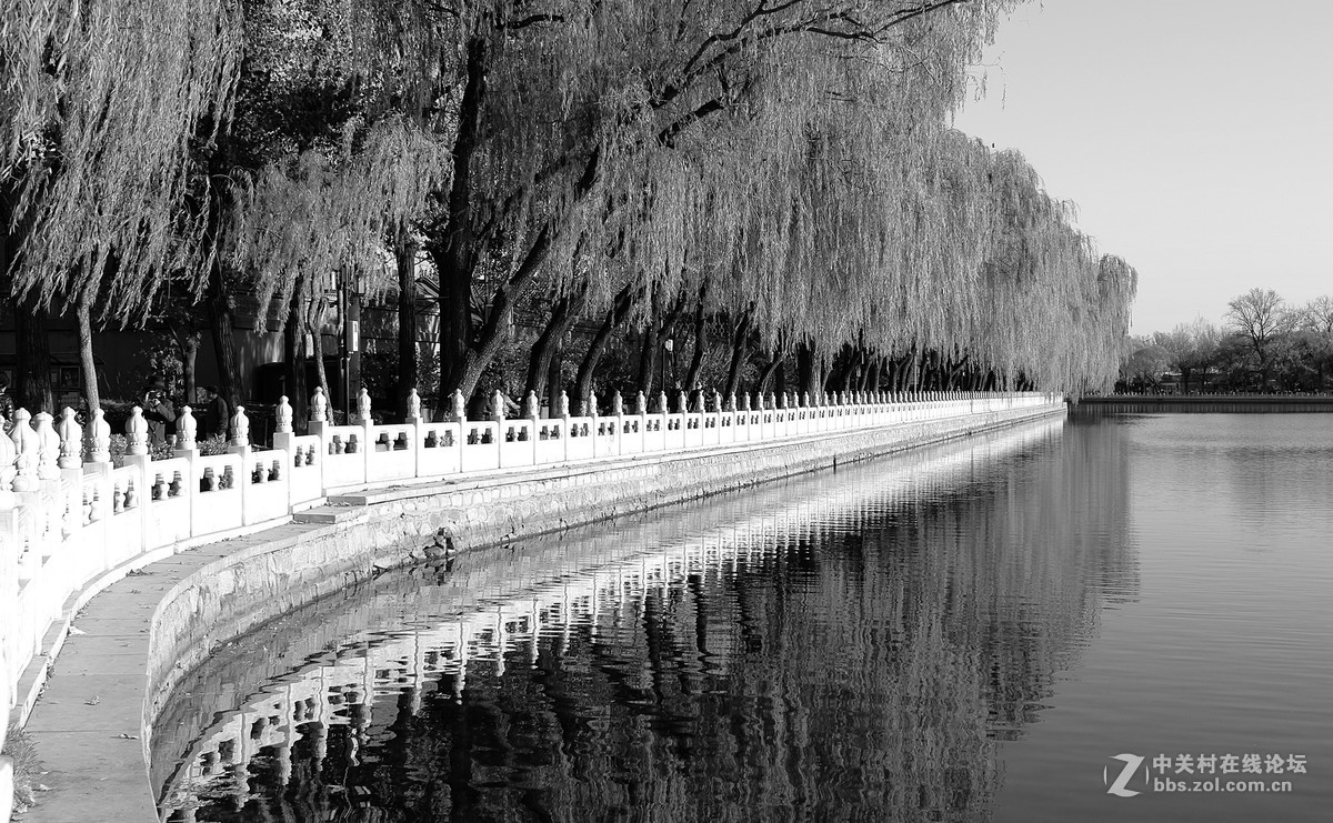 什刹海TYP113黑白