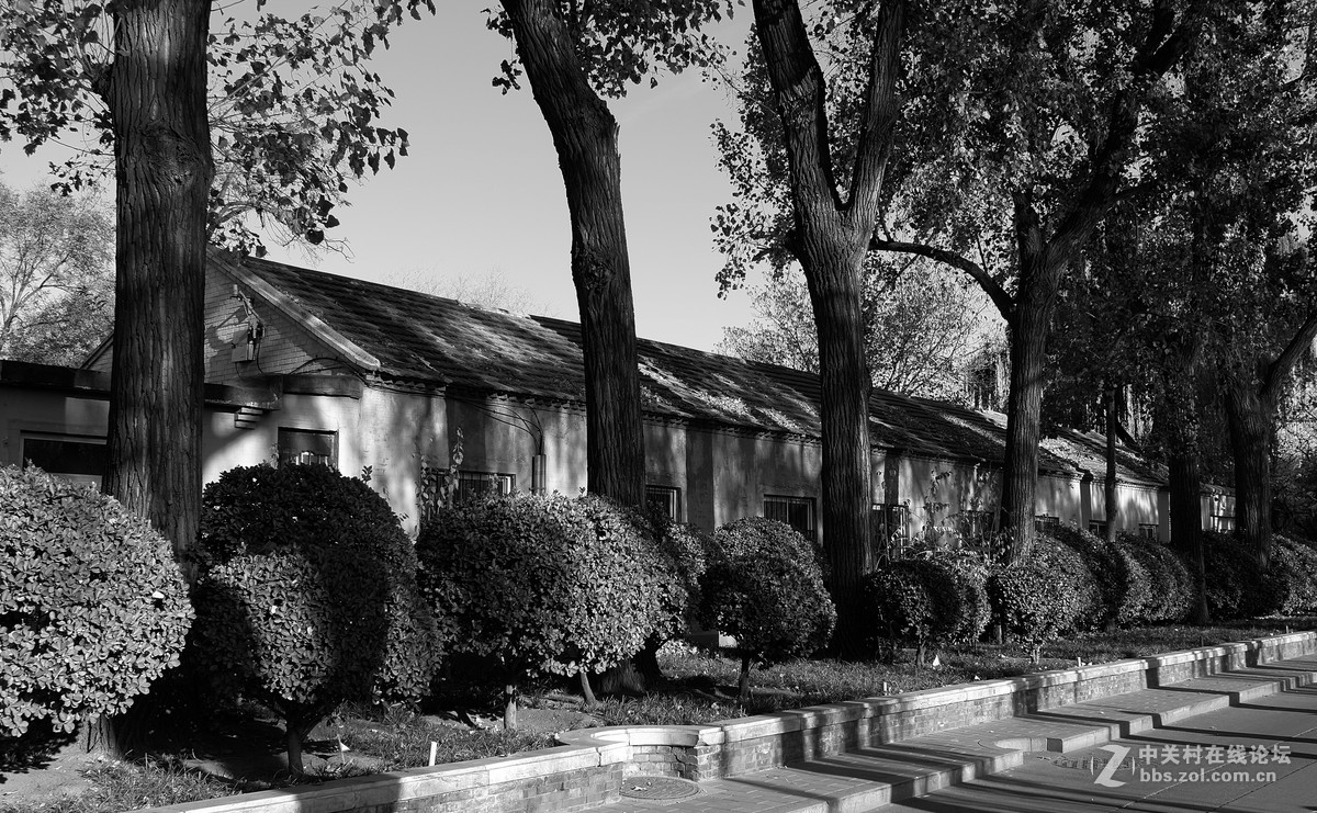 什刹海TYP113黑白