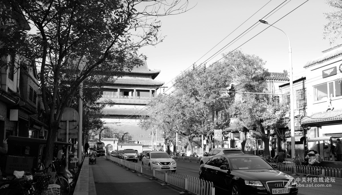 什刹海TYP113黑白