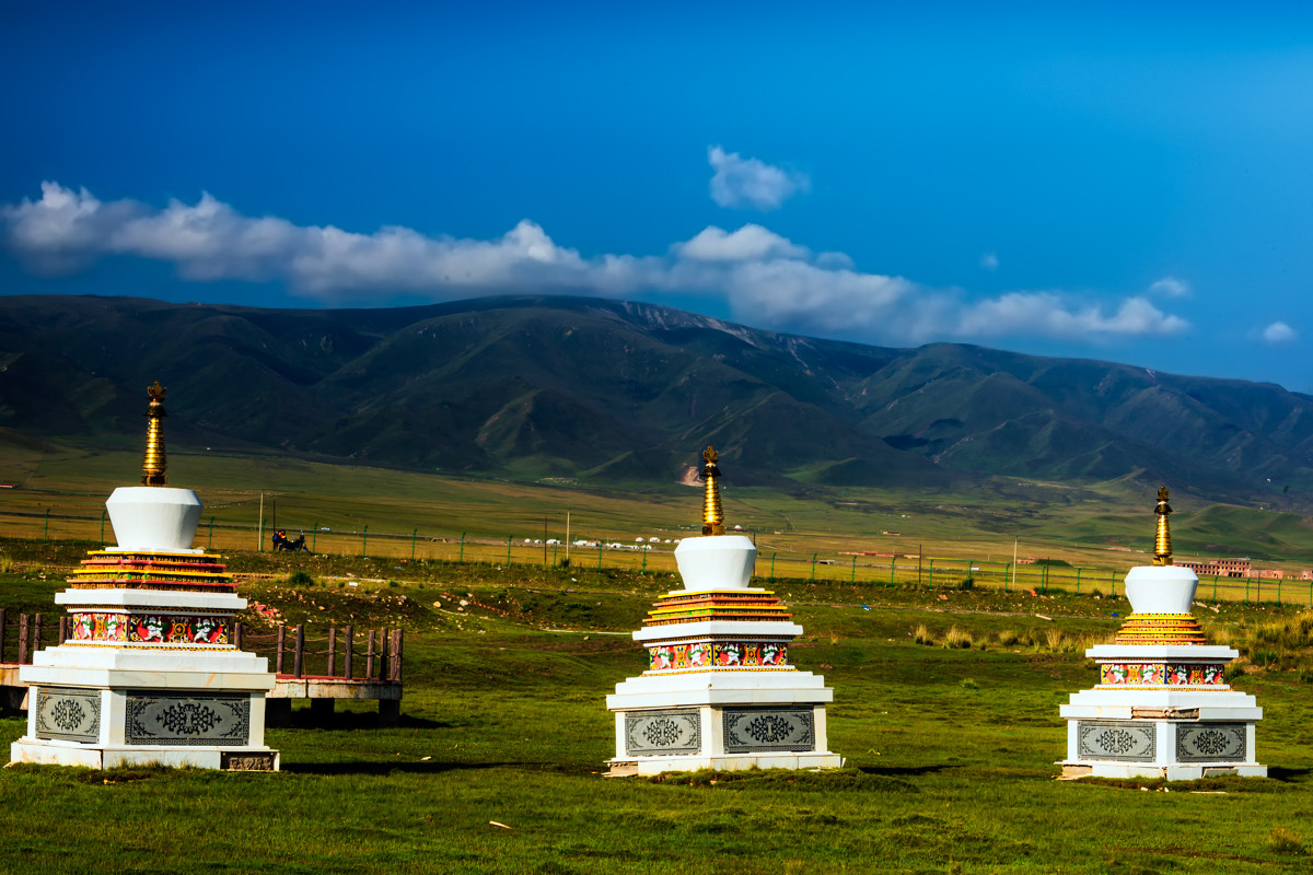 西北风光青海金银滩大草原