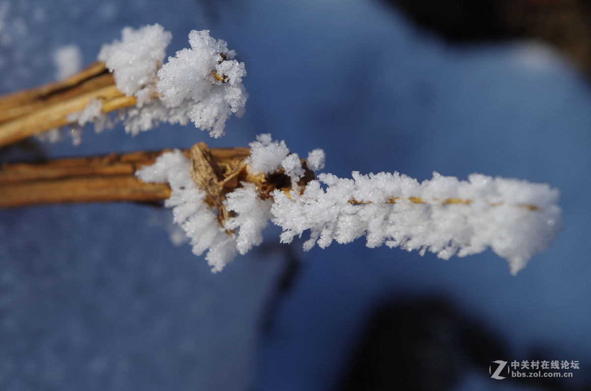新手，还会有更多图片