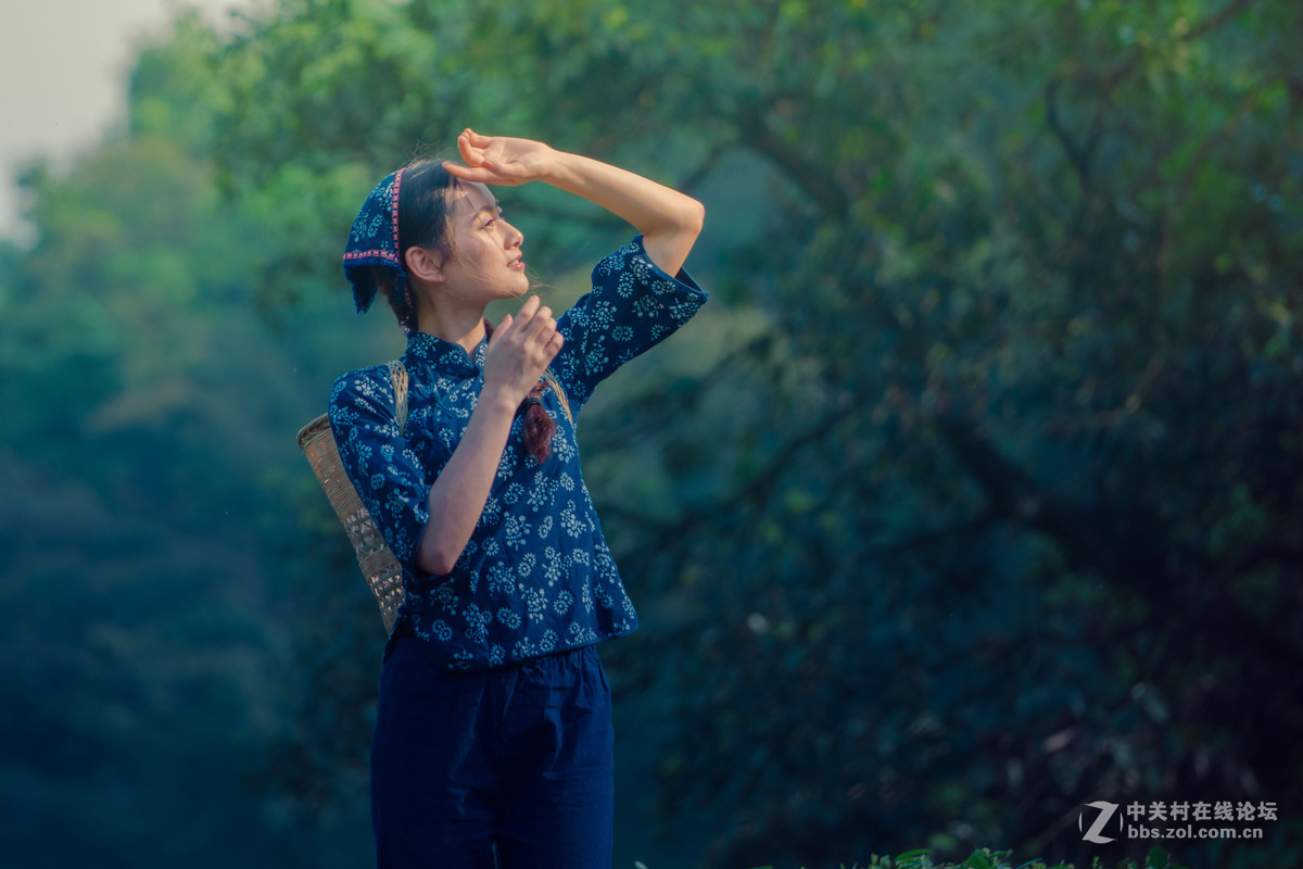 新竹背篓采茶女俏影丽容赛繁花