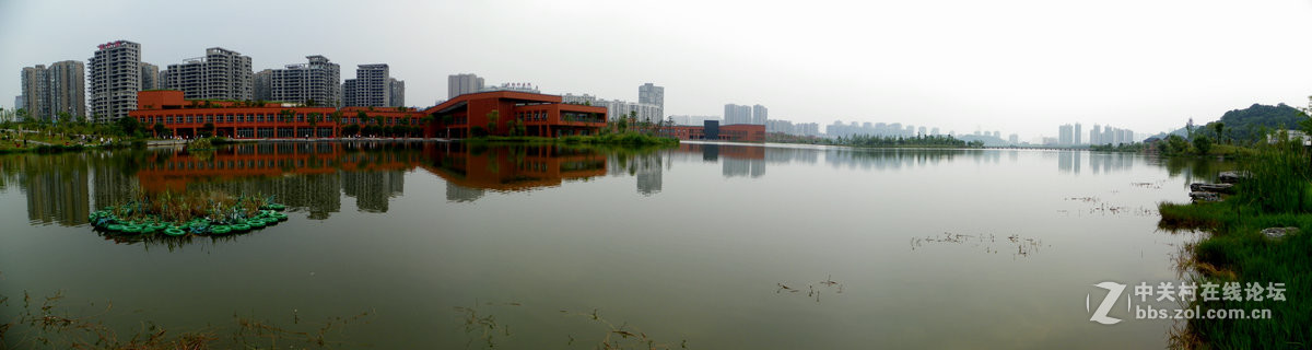 初夏的长沙西湖风光——问候琵琶语兄