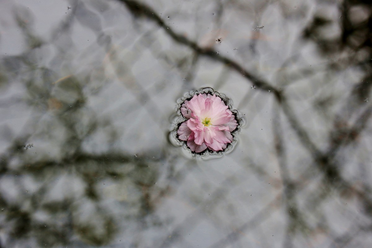 笔尖扫尽痴云，歌声唤醒芳春。花担安排酒樽。