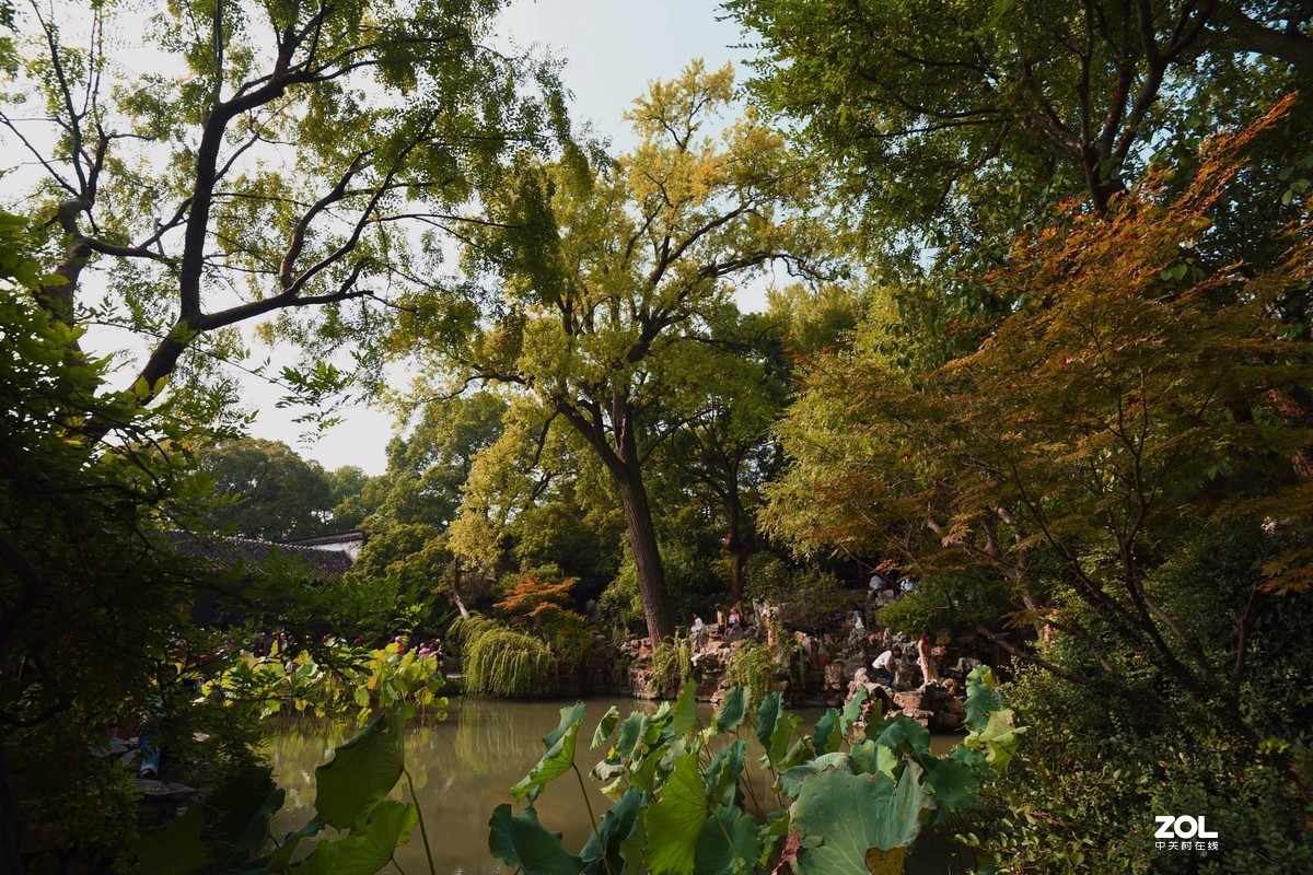 苏州留园的秋色