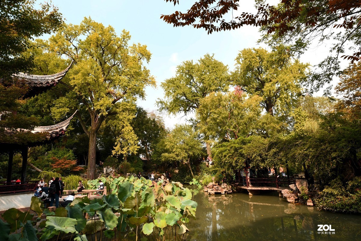 苏州留园的秋色