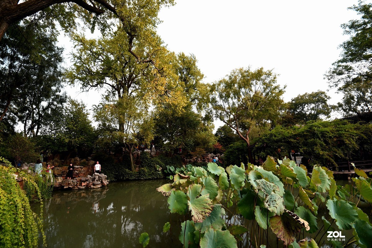 苏州留园的秋色