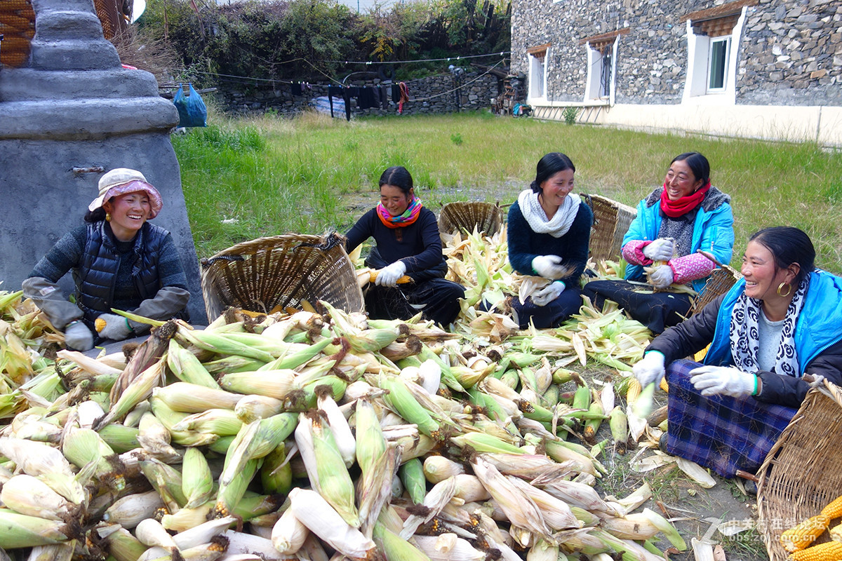 走进藏寨——浓浓的风情