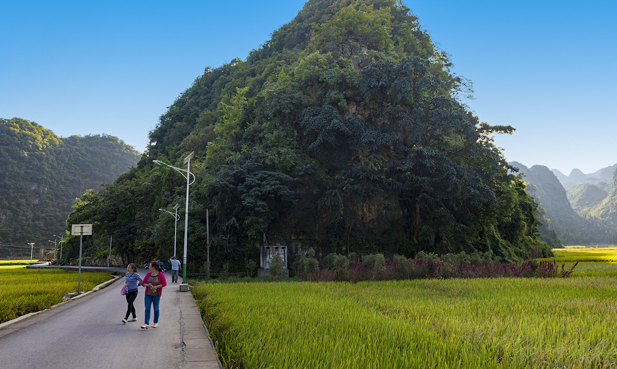 金州【万峰林】秋收的时候