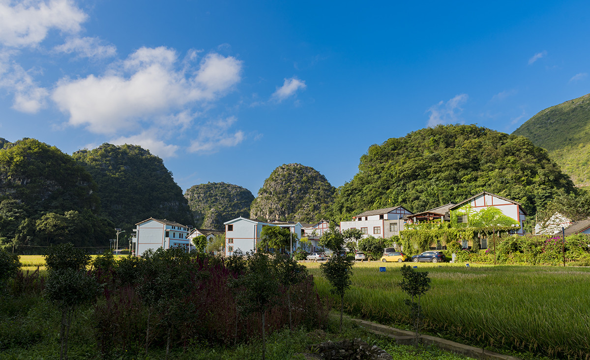 金州【万峰林】秋收的时候