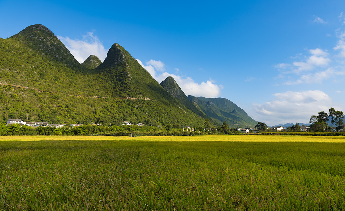 金州【万峰林】秋收的时候