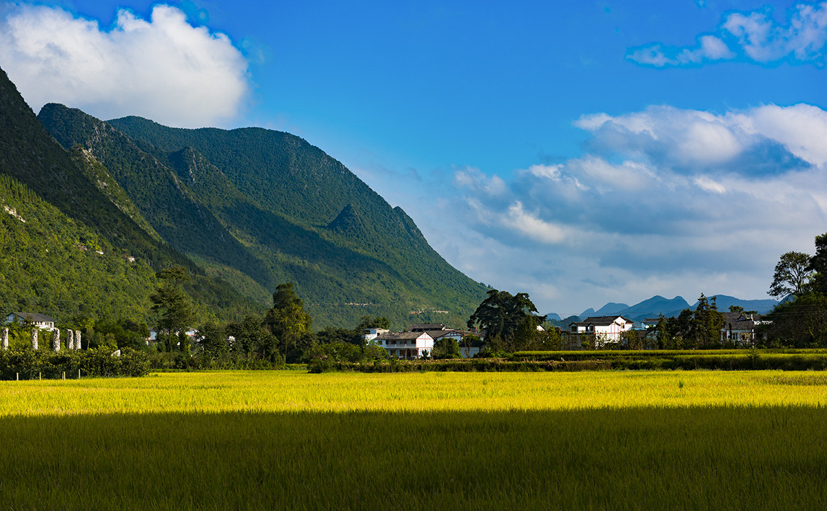 金州【万峰林】秋收的时候