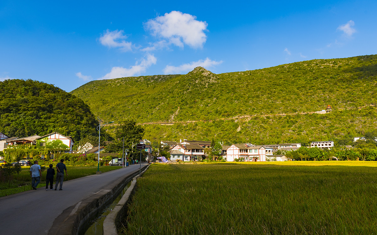 金州【万峰林】秋收的时候