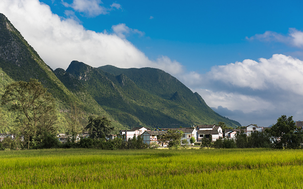 金州【万峰林】秋收的时候