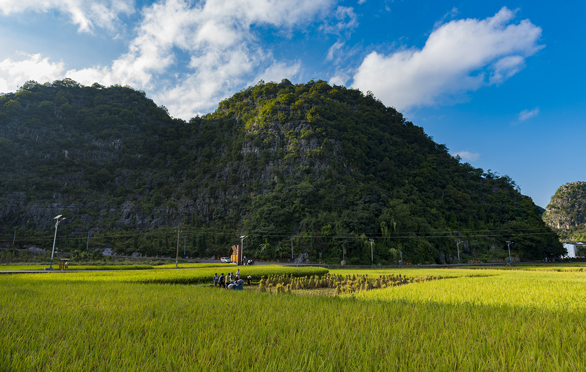 金州【万峰林】秋收的时候