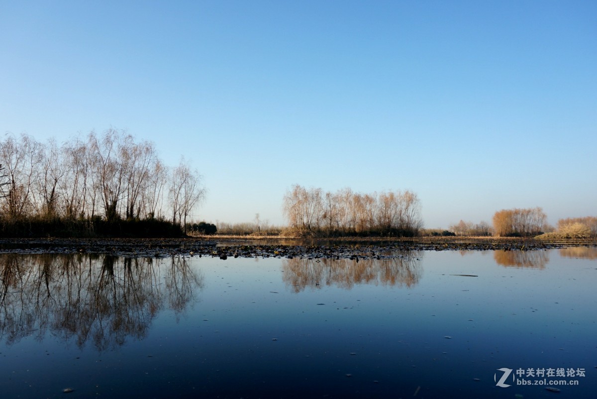 。冬。日。湖。畔。