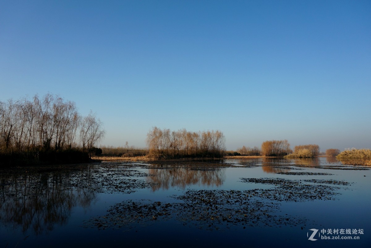 。冬。日。湖。畔。