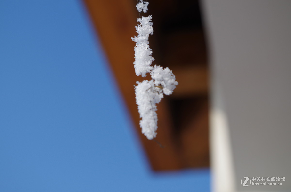 新手，还会有更多图片