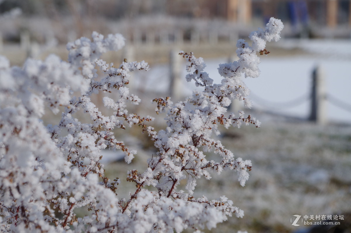 新手，还会有更多图片