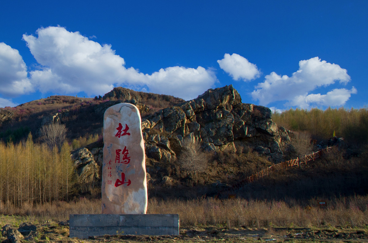 杜鹃山适马175028试镜