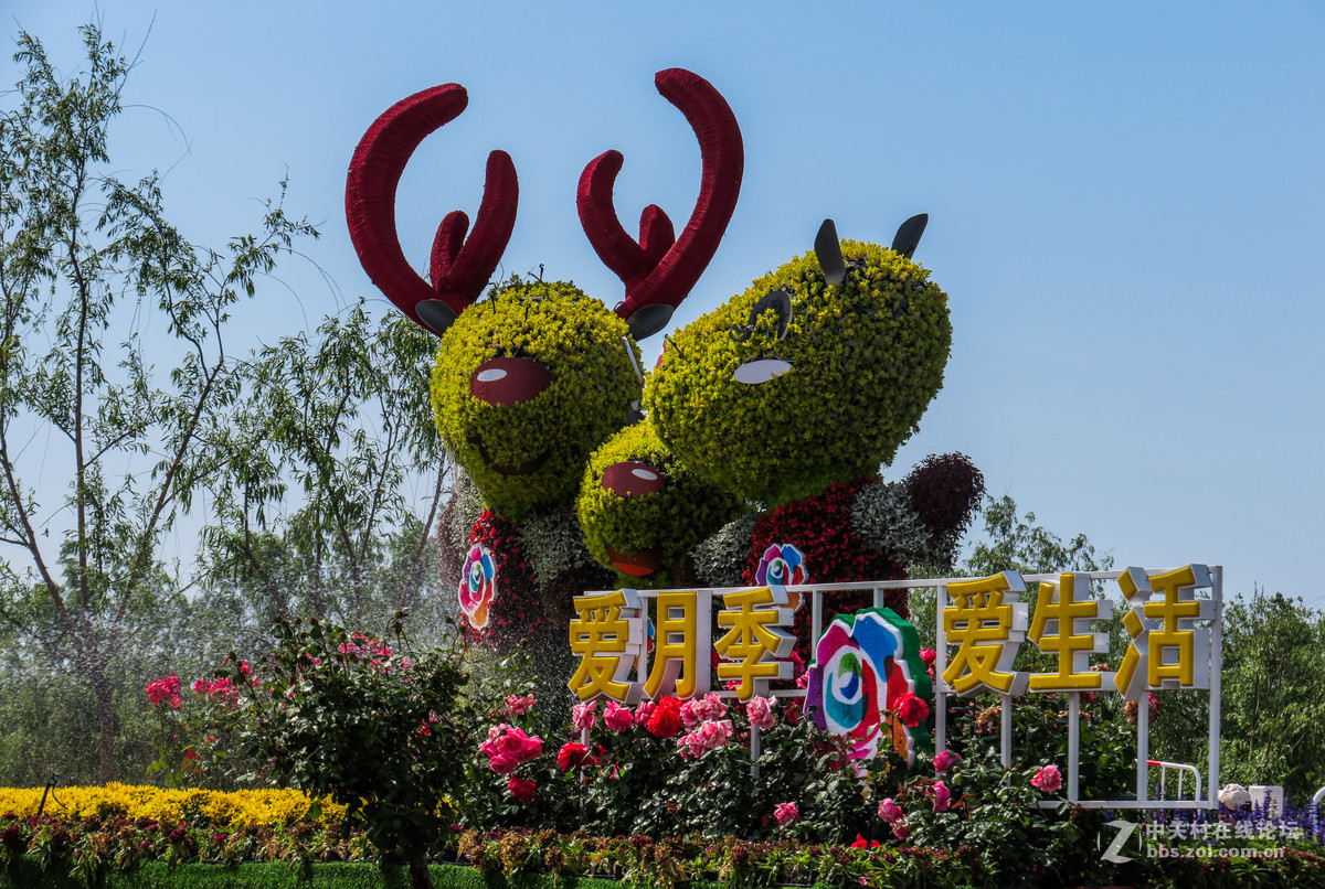 月季洲际大会公园景色