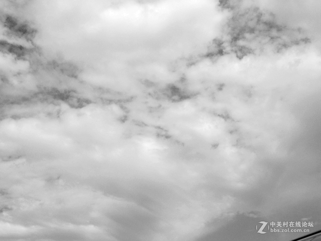 z740  黑白片