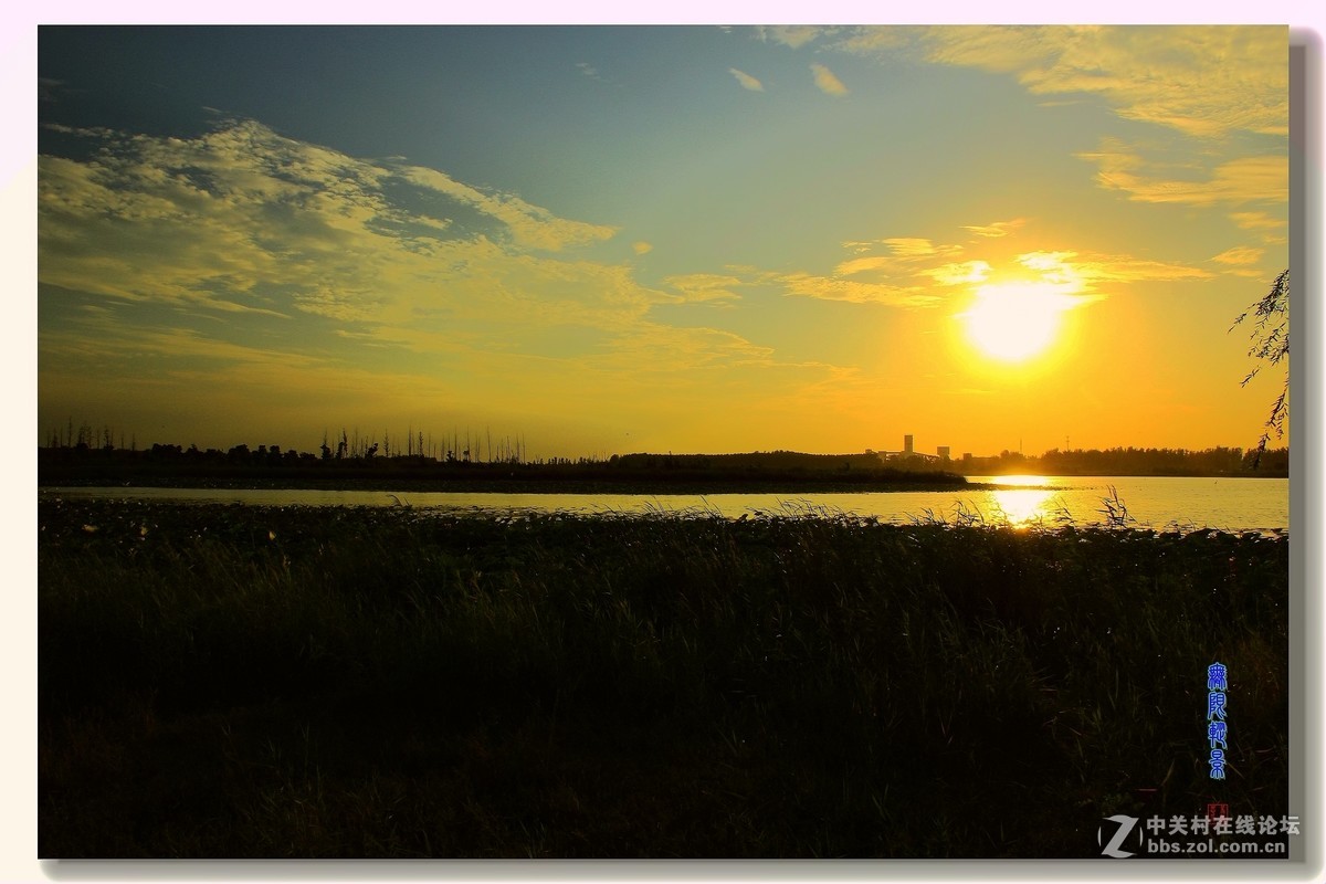安国湿地夕阳、荷花、白鹭风景