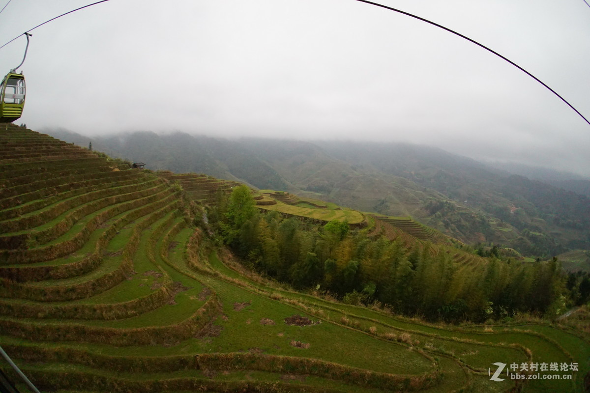 龙脊金坑梯田2
