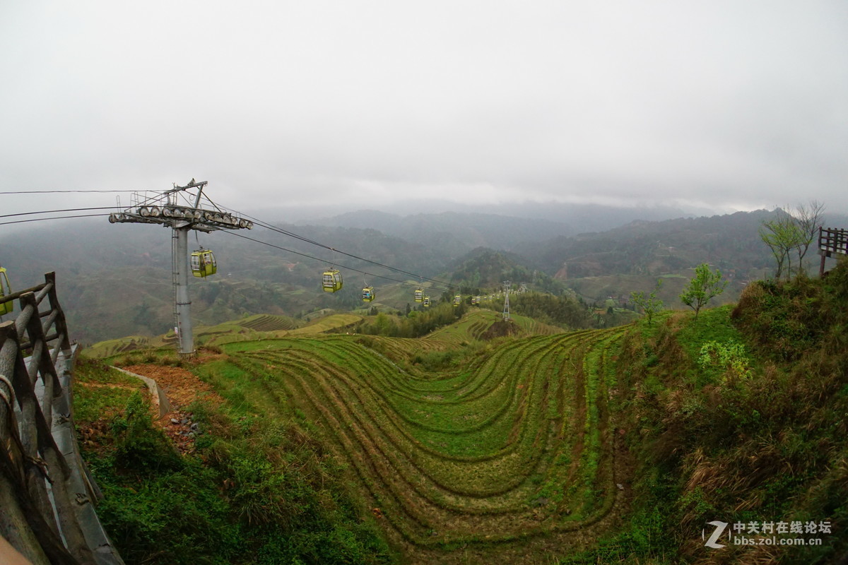 龙脊金坑梯田2