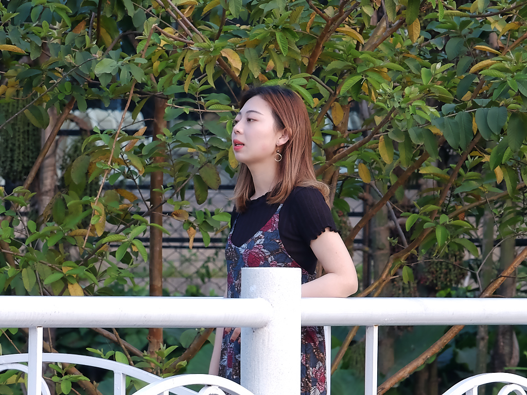 公 园 赠 拍（二十八）