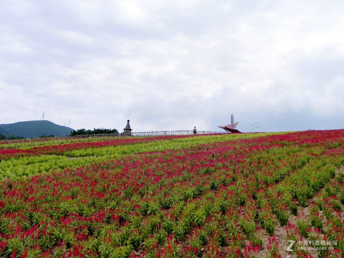 云悠悠心悠悠