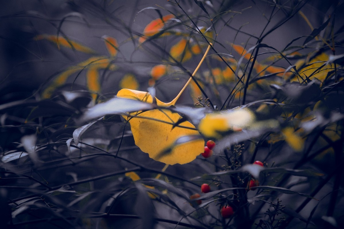 这个冬天有点冷