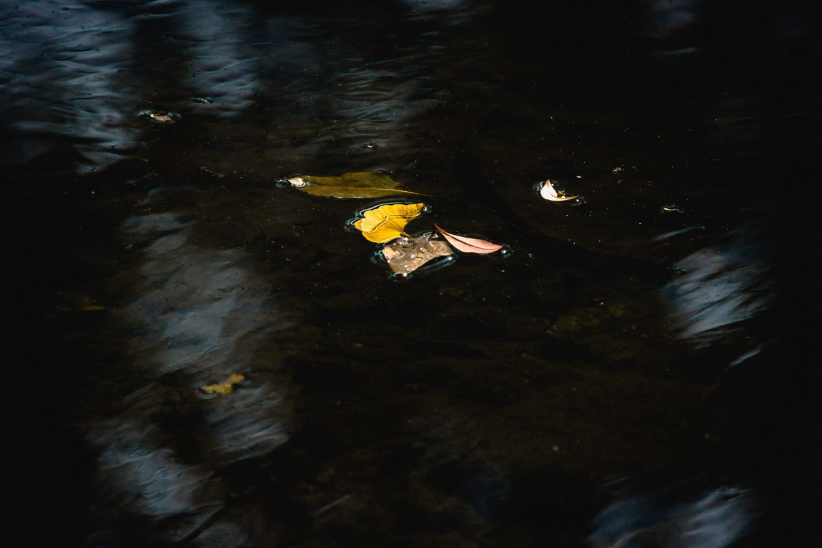 这个冬天有点冷