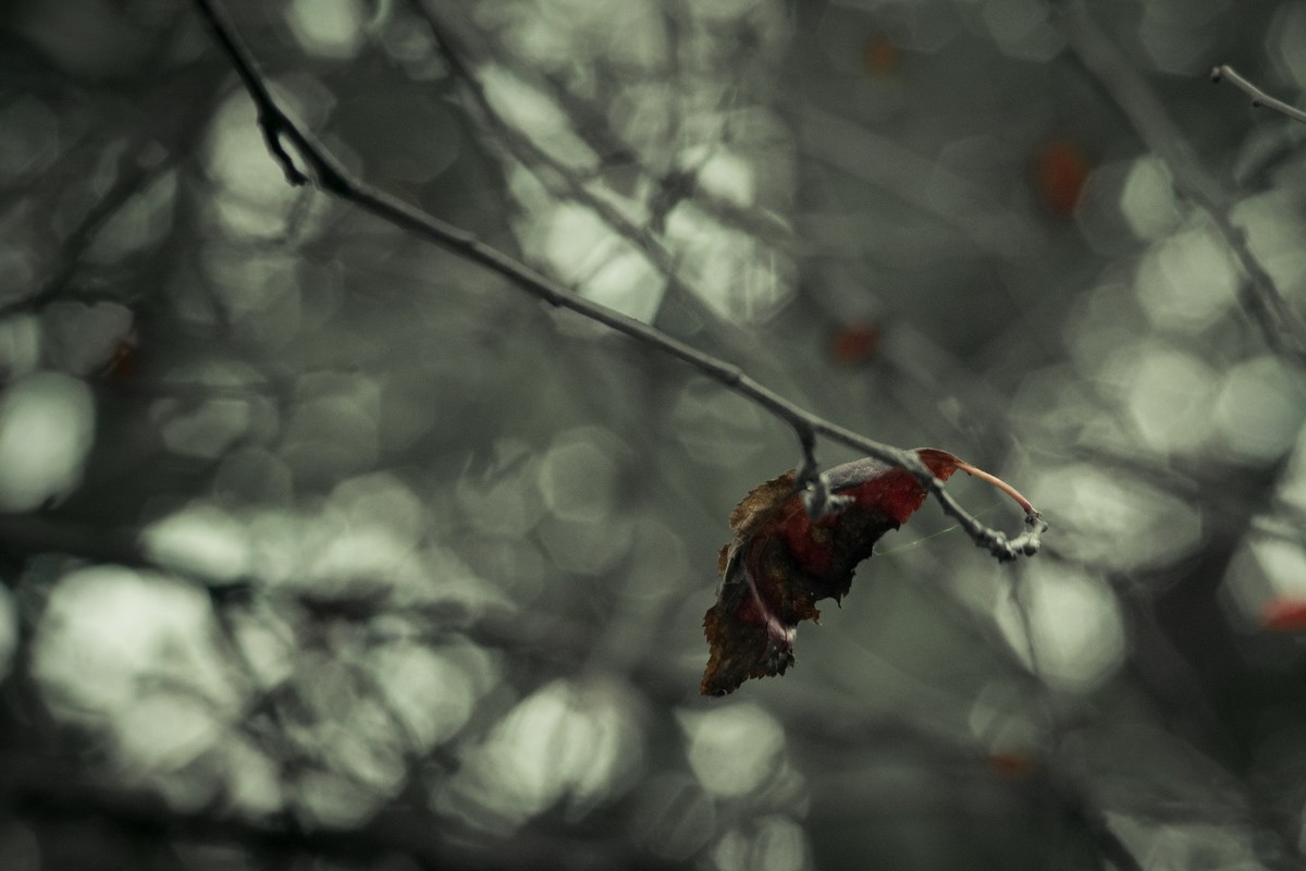 这个冬天有点冷