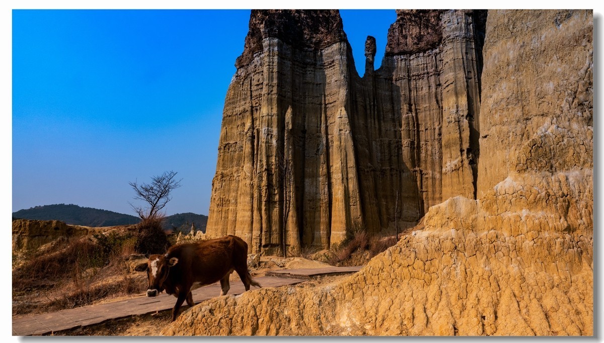 云南元谋土林一一祝 晚之秋 荣任索尼A7Rlll星空(中国)版块 . 首任版主
