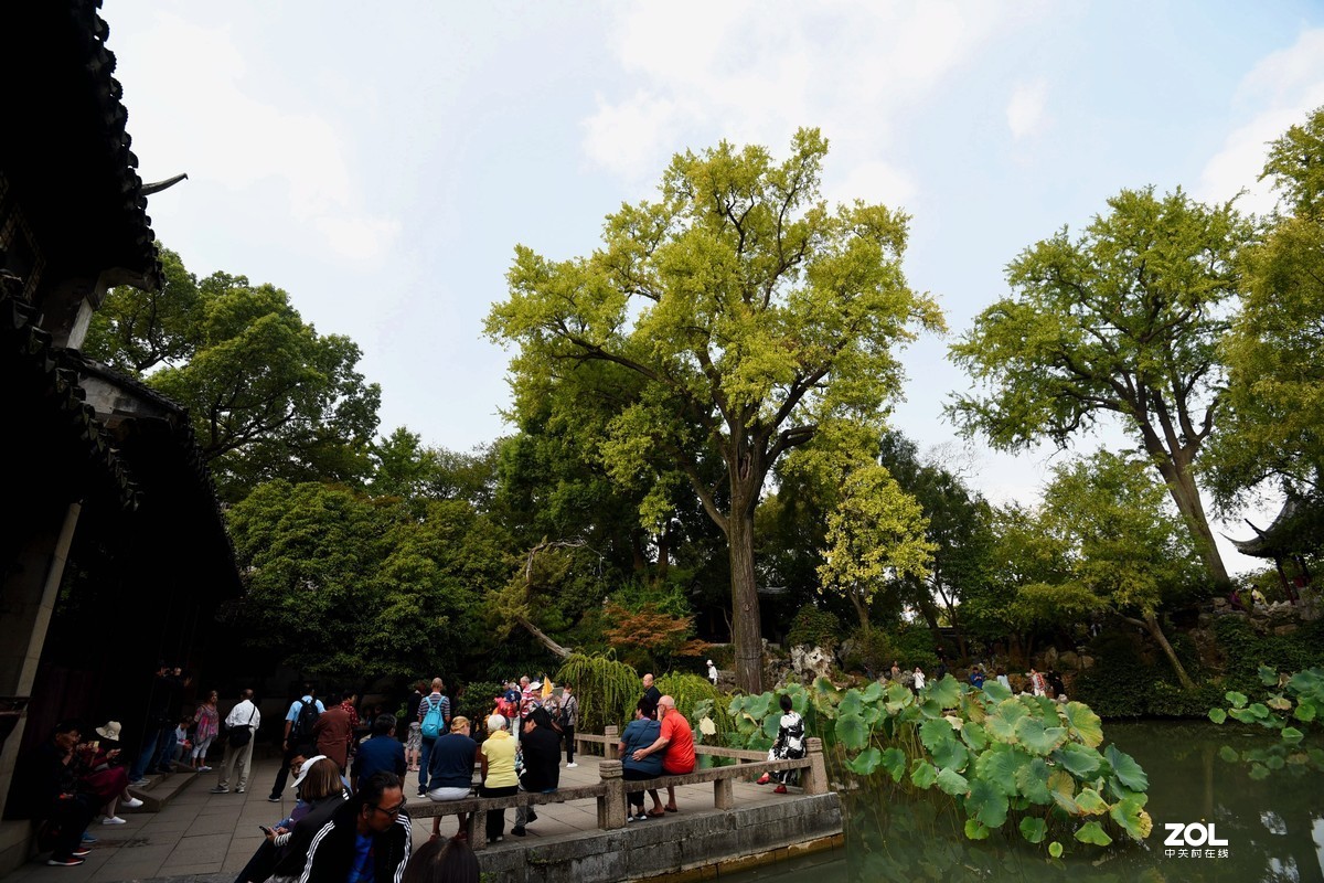 苏州留园的秋色