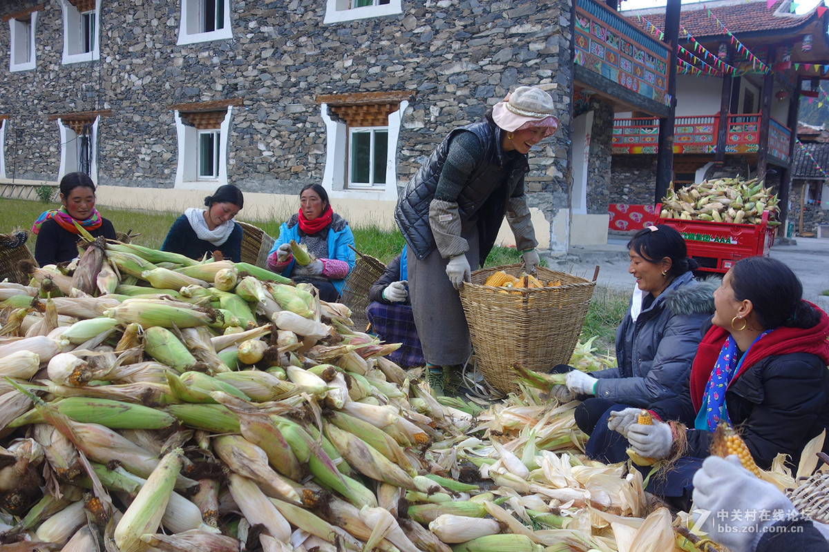 走进藏寨——浓浓的风情