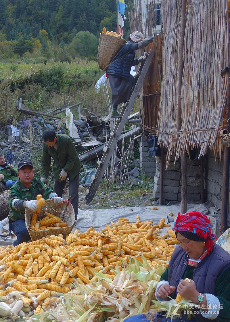 走进藏寨——浓浓的风情