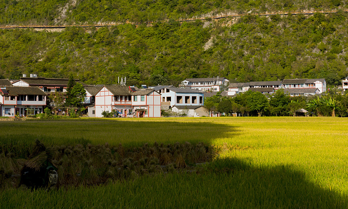 金州【万峰林】秋收的时候