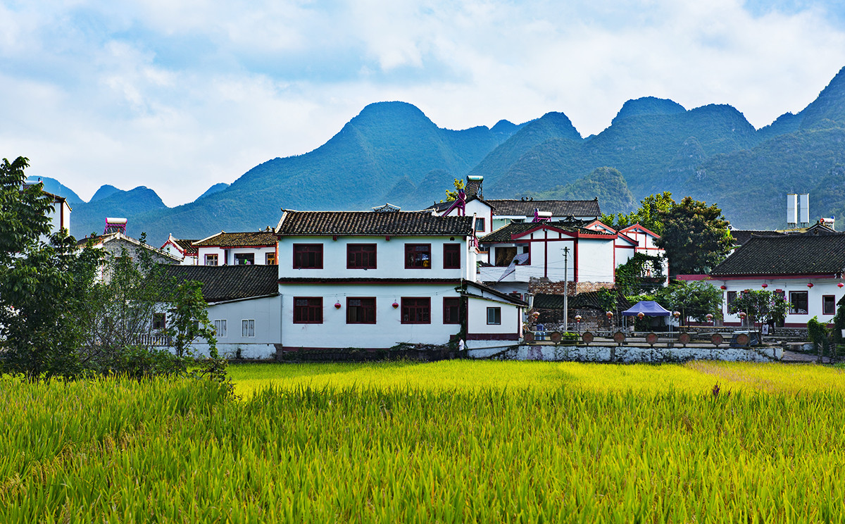金州【万峰林】秋收的时候