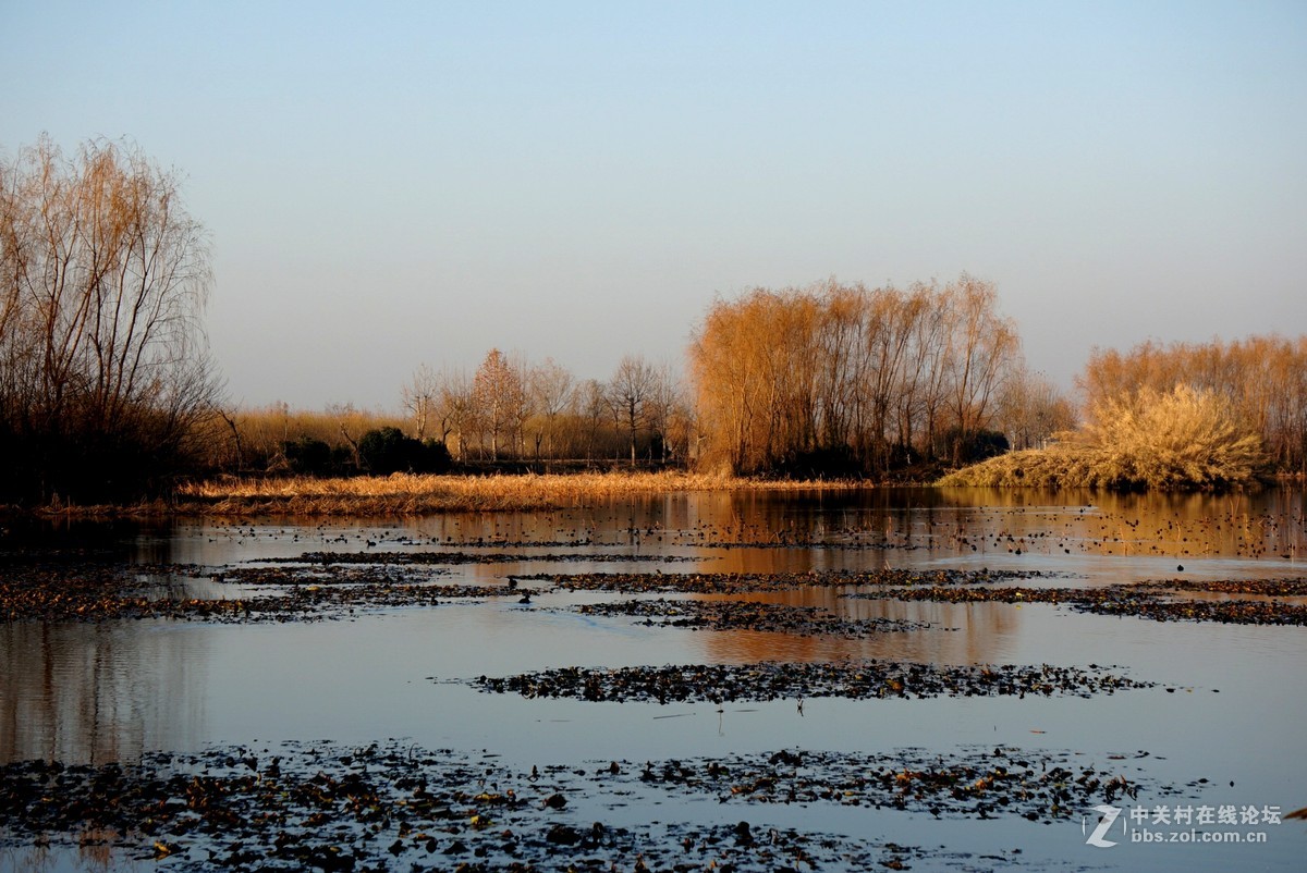 。冬。日。湖。畔。