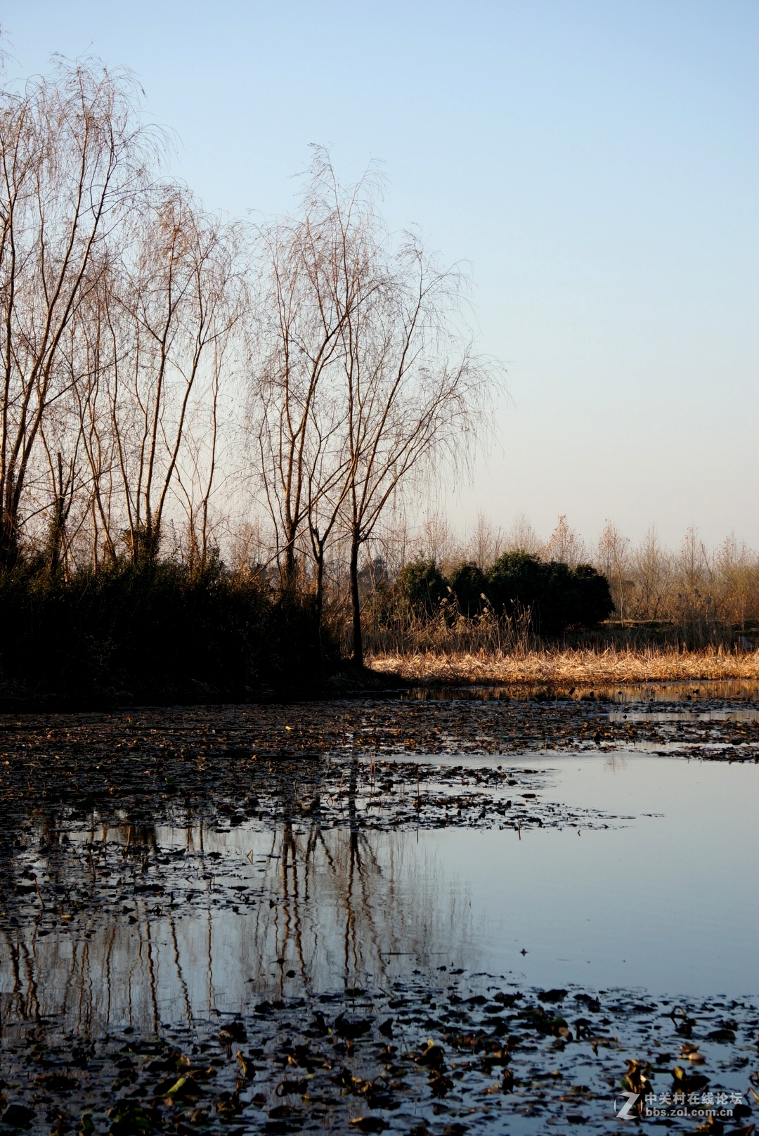 。冬。日。湖。畔。