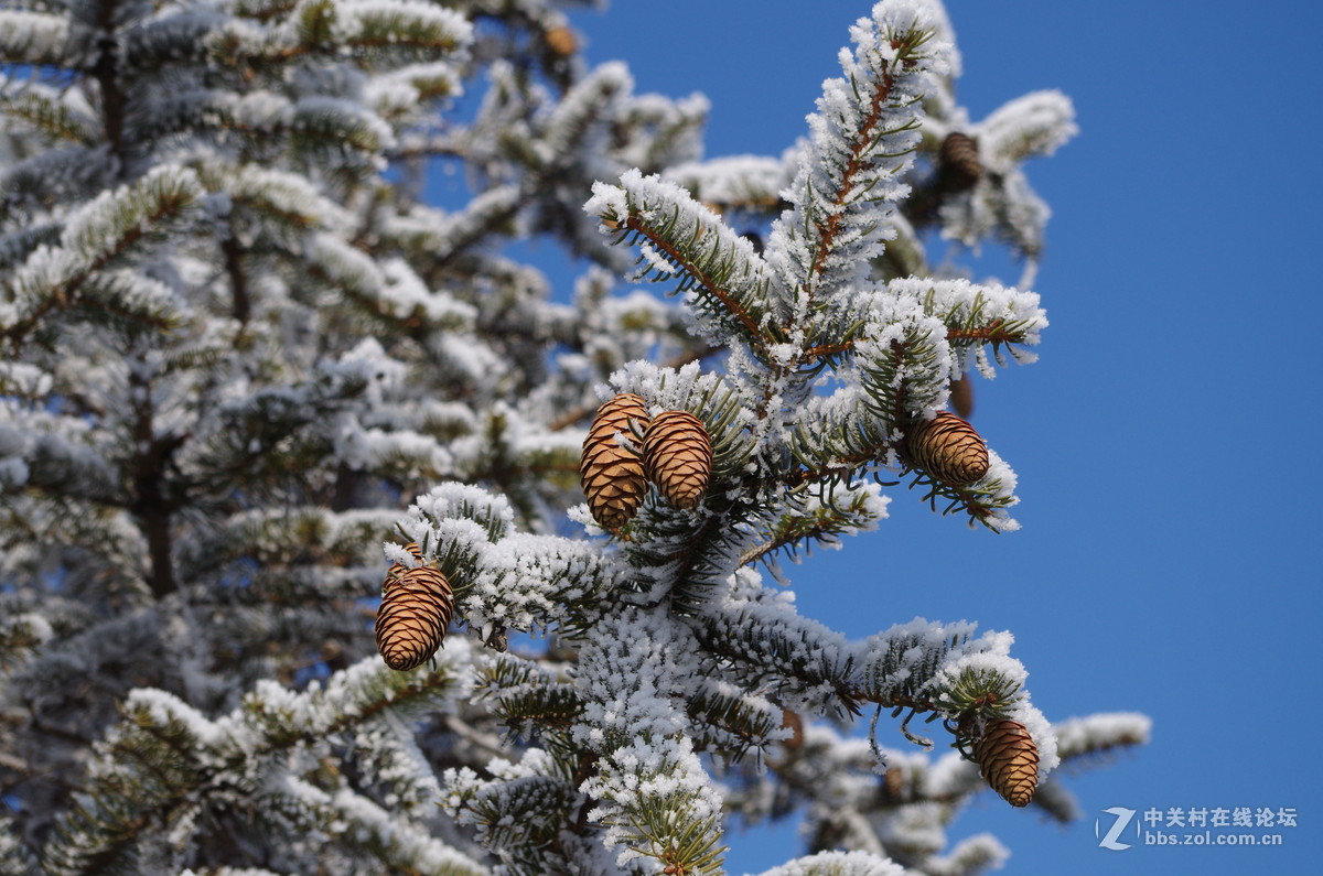 新手，还会有更多图片