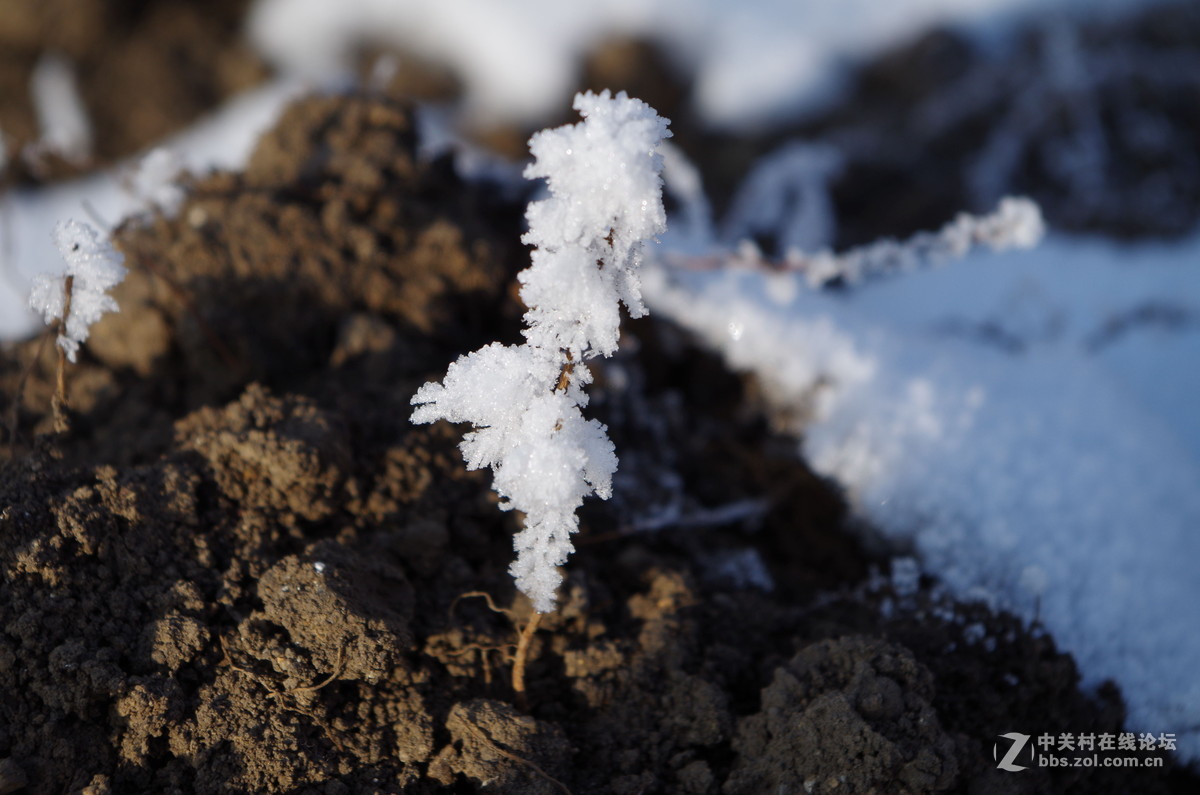 新手，还会有更多图片