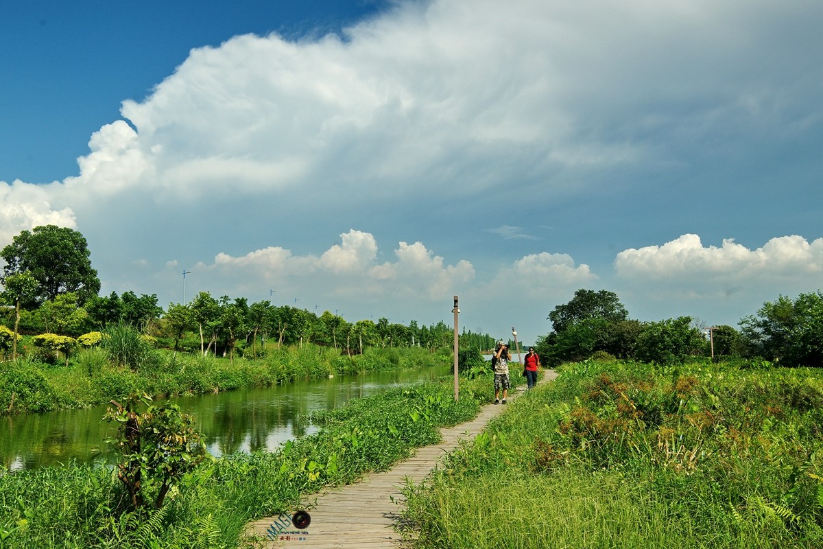 风景这边独好鹤之洲湿地公园