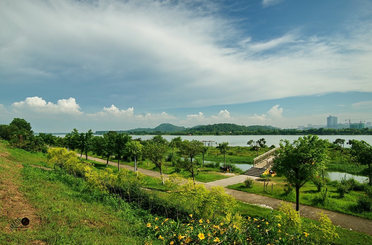 风景这边独好鹤之洲湿地公园