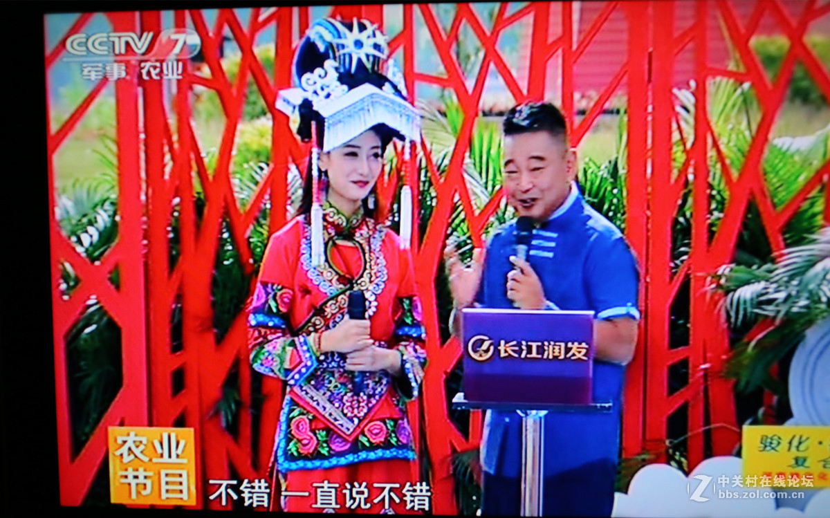 【乡约】思林姑娘相亲记