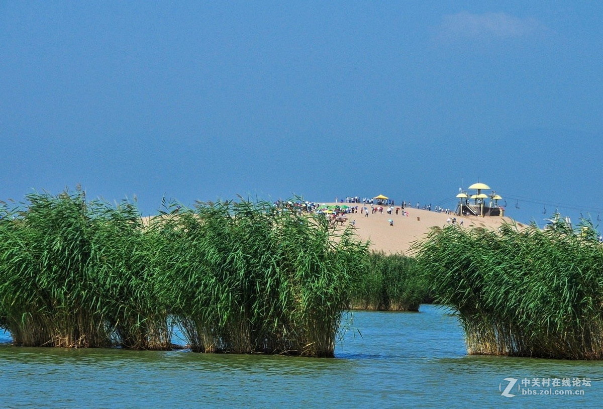 寧夏著名景點沙湖