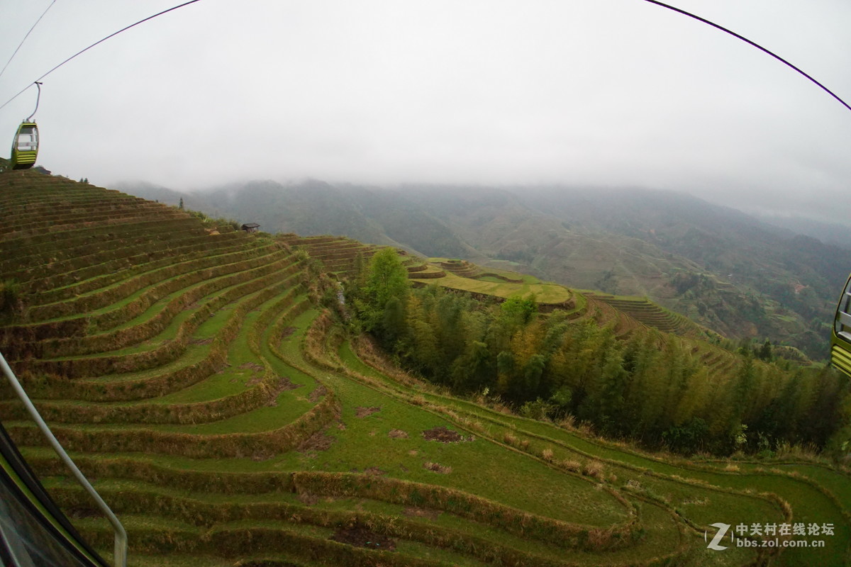 龙脊金坑梯田2