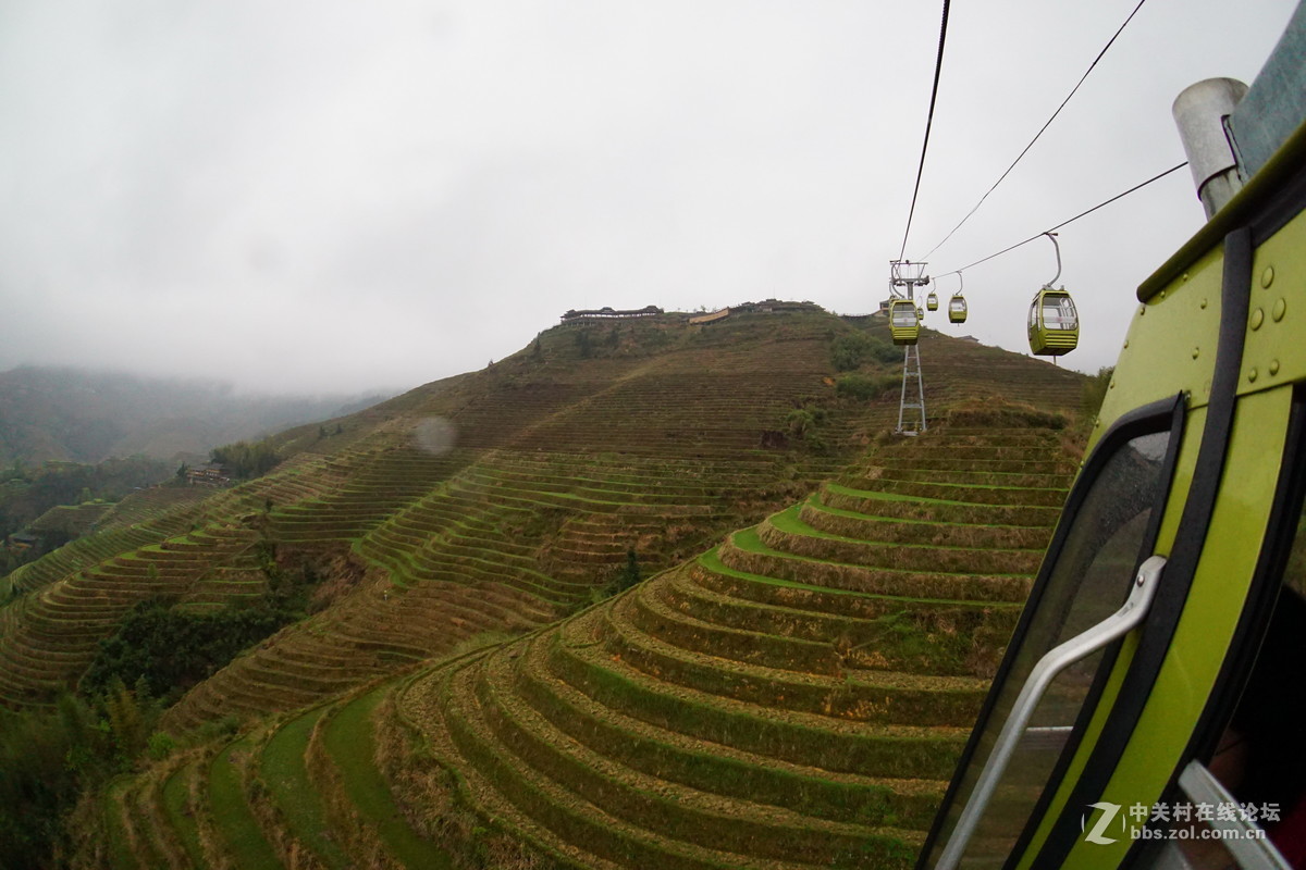 龙脊金坑梯田2